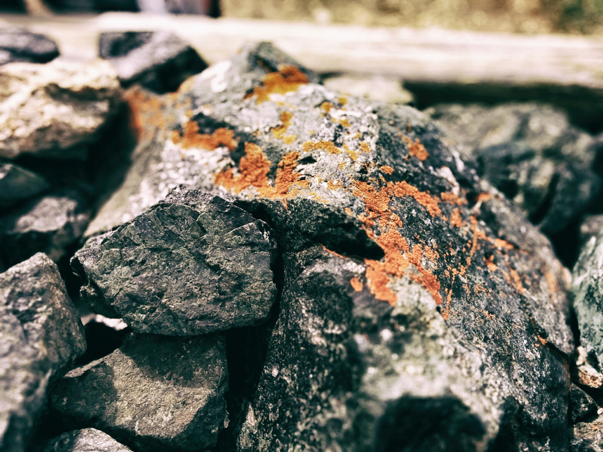stone with orange moss copyright Simon Kendler